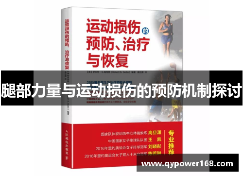 腿部力量与运动损伤的预防机制探讨